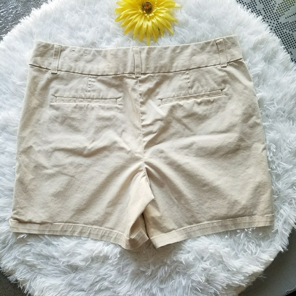 Ann Taylor loft Short sz~12 - Picture 5 of 6